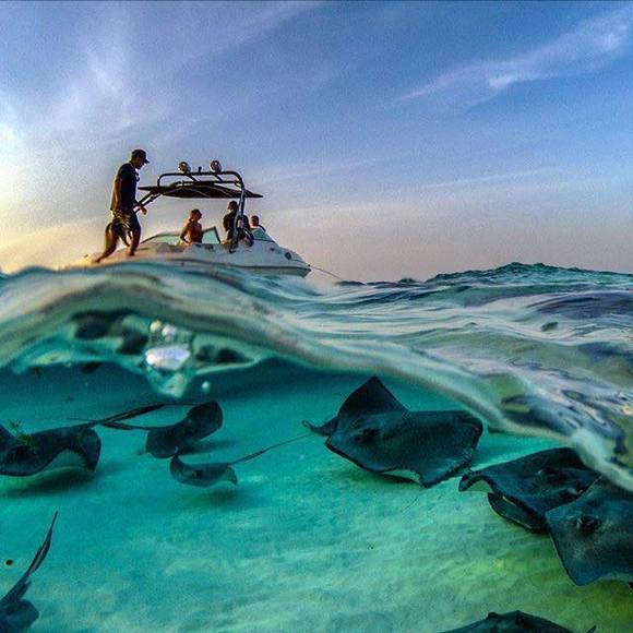 Meet your Posher, Mario - Picture 1 of 1